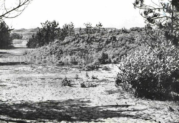 Noordwijkerhout de Witte Raaf