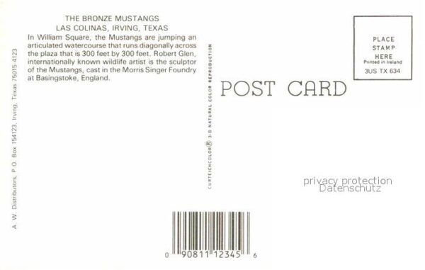 Irving Texas The Bronze Mustangs – Bild 2