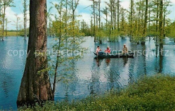 Shreveport Lake Bistineau