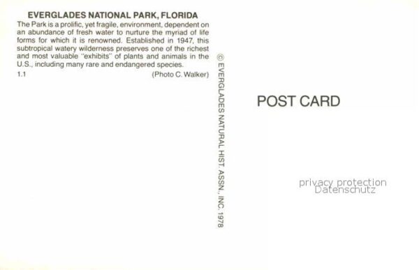 Florida US-State Everglades National Park – Bild 2