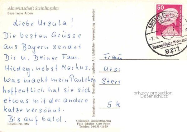 Grassau Chiemgau Steinlingalm – Bild 2
