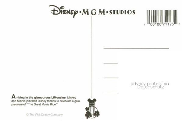 Orlando Florida Walt Disney World – Bild 2