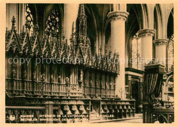 Malines Mechelen Flandre Cathedrale Interieur