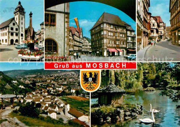 Mosbach Baden Fachwerk Schwäne Kirche