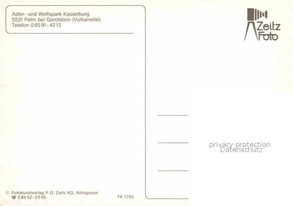 Pelm Adler- und Wolfspark Kasselburg – Bild 2