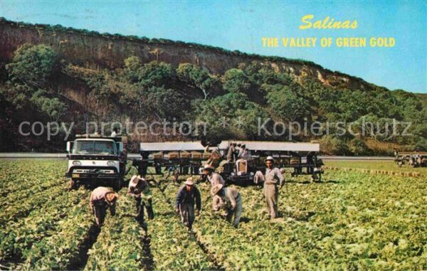 Salinas The Valley of Green Gold Landwirtschaft