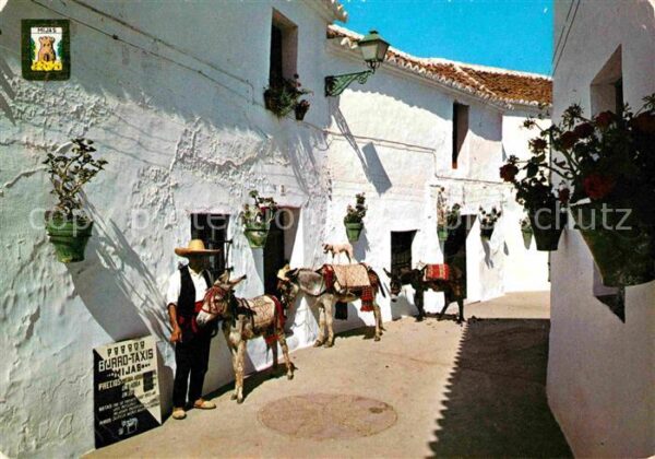 Mijas Parada de Burros Taxis Esel Lasttiere