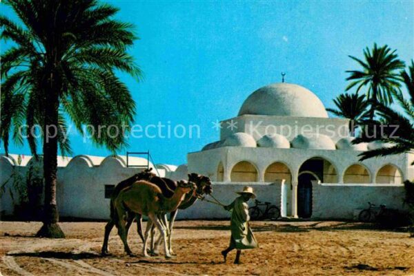 Jerba Mosquee de Mahboubine Moschee Kamele