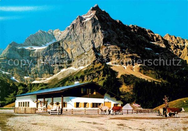 Eng Alm Rasthütte Almvieh Kühe Karwendelgebirge