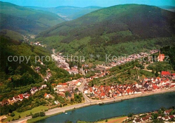 Hirschhorn Neckar Fliegeraufnahme