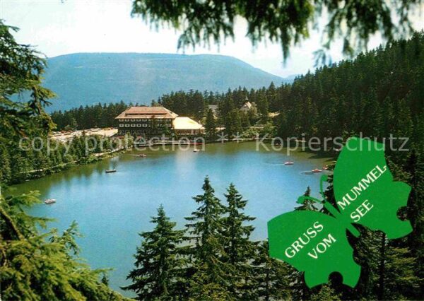 Mummelsee Berghotel Schwarzwald