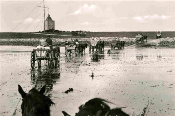 Duhnen Nordsee Nordseeheilbad Ankunft der Wattwagen au