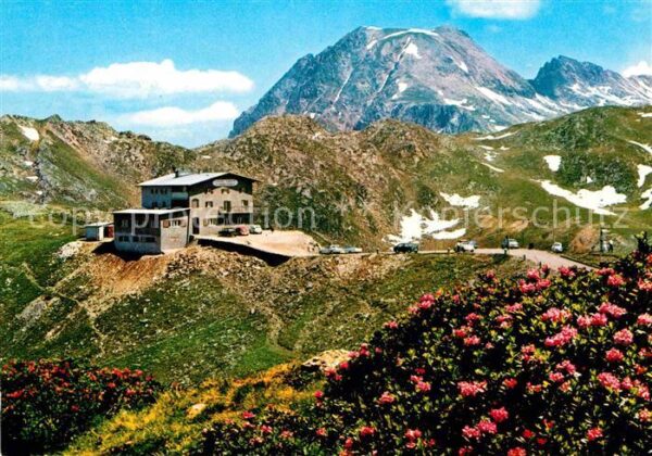 Penserjoch Passo di Pennes Alpenrosenhof Passo Pennes Sarntaler Al