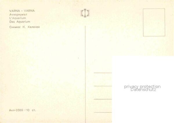 Varna Warna Aquarium – Bild 2