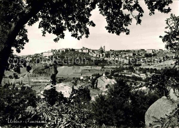 Urbino Panorama