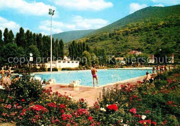 Neustadt Weinstrasse Schwimmbad Freibad