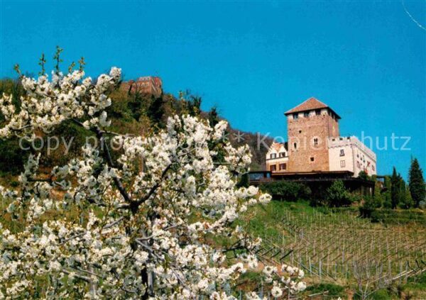 Missian Bozen Hotel Schloss Korb Baumblüte