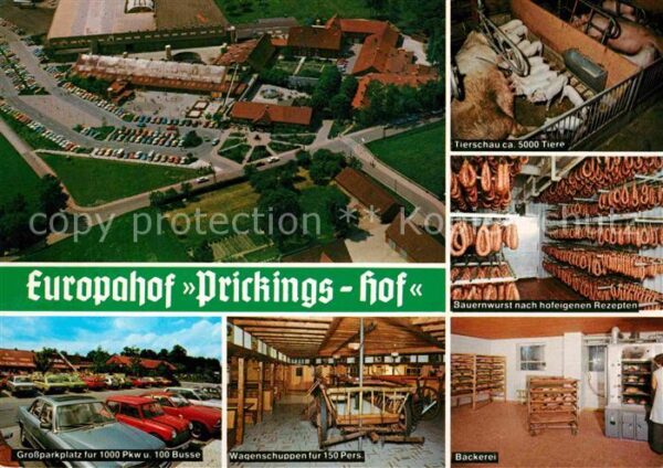 Sythen Fliegeraufnahme Tierschau Bauernwurstka