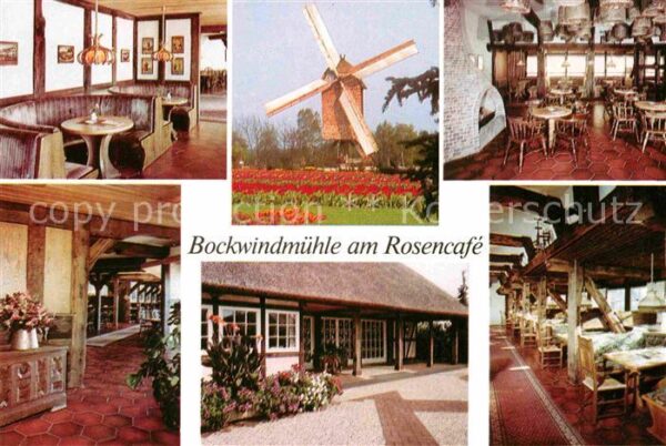Walsrode Lueneburger Heide Vogelpark Bockwindmühle am Rosencafe Ga