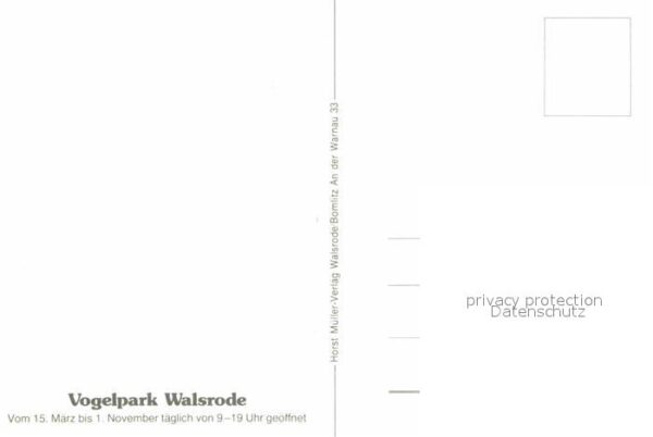 Walsrode Lueneburger Heide Vogelpark Bockwindmühle am Rosencafe Ga – Bild 2