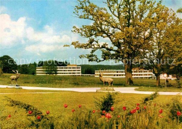 Bernried Starnberger See Klinik Höhenried Park Skulpturen