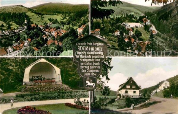 Wildemann Panorama Konzertpavillon Teilansicht