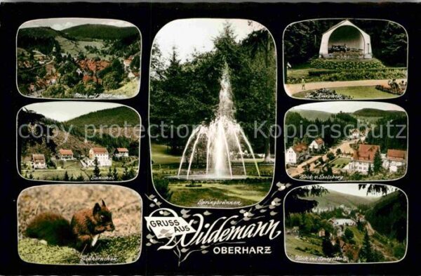 Wildemann Ortsblick Springbrunnen Kurpark Sanicke