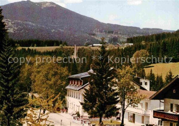 Bayrisch Eisenstein Gasthaus Pension Neuwaldhaus