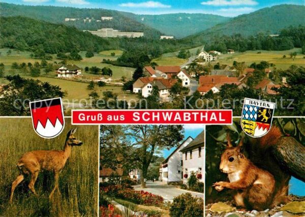 Schwabthal Panorama Reh Dorfmotiv Eichhörnchen