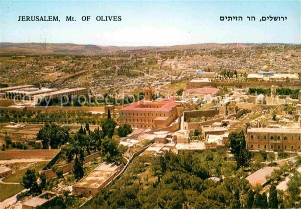 Jerusalem Yerushalayim Olivenberg