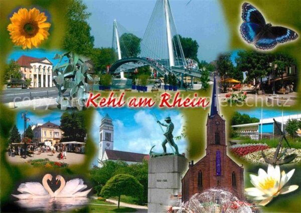 Kehl Rhein Passerelle Kirche Schwäne Rathaus