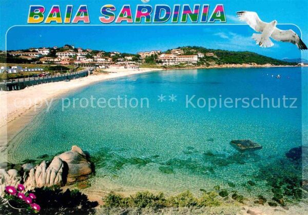 Sardegna Strand Möwe