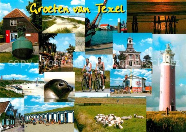 Texel Strandhütten Leuchtturm Seehund Schafhe