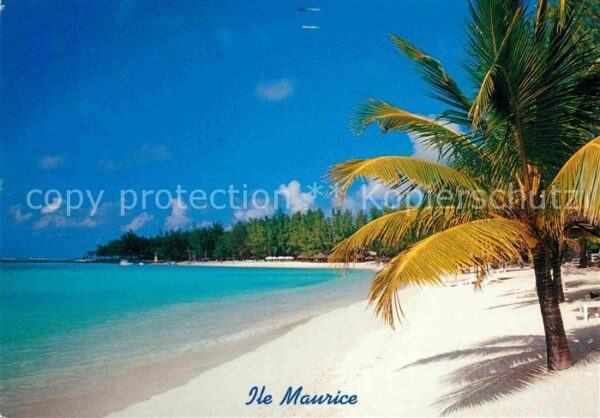 Mauritius Belle Mare