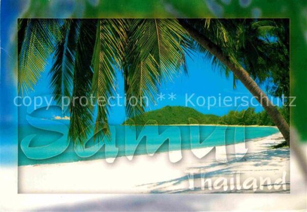 Samui Thailand Strand Palmen Westküste