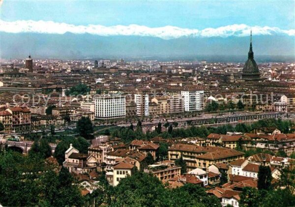 Torino Panorama