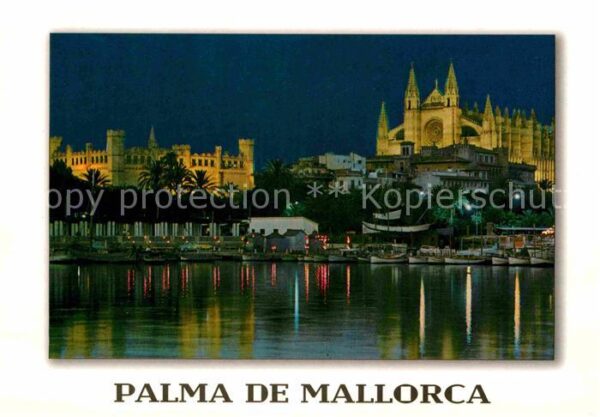 Palma de Mallorca Nachtaufnahme Lonja Kathedrale