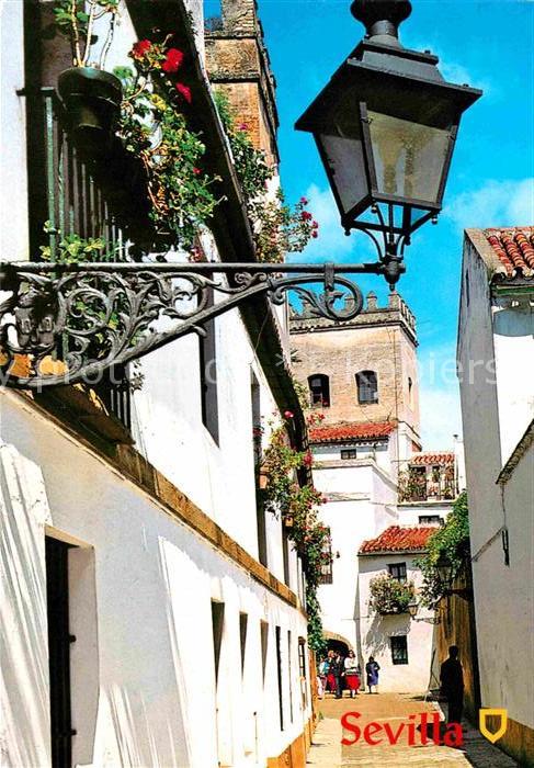 Sevilla Andalucia Santa Cruz Barrio La Juderia