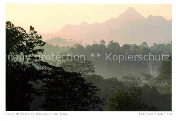 Kuba Nebel Topes Collantes