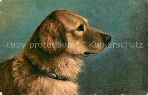 Hunde Künstlerkarte