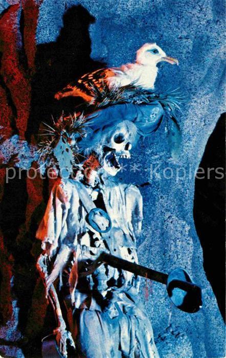 Walt Disney World Pirates of the Caribbean Jolly Roger