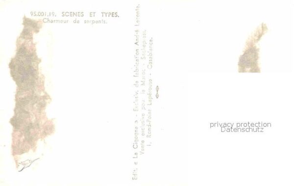 Schlangen Tiere Schlangenbeschwörer Charmeur de serpent – Bild 2