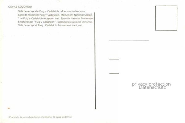 Alkohol Sekt Cavas Codorniu Sala de Recepcion P – Bild 2