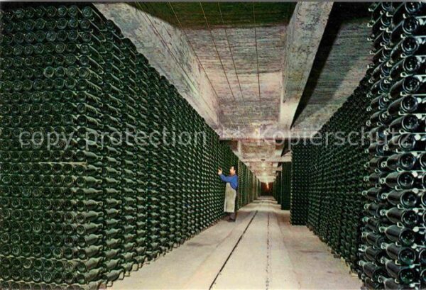Alkohol Sekt Cavas Codorniu Botellas envejecien