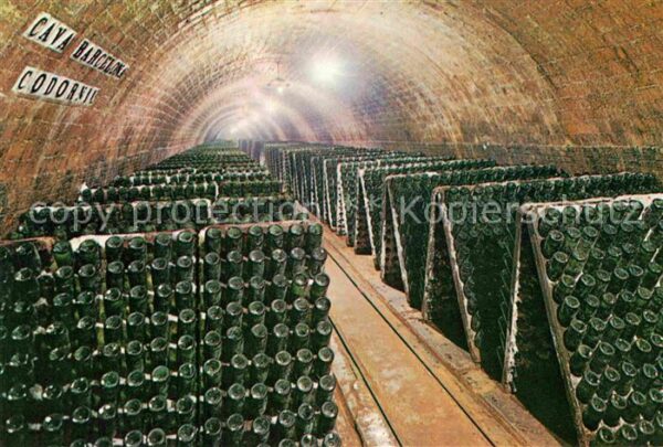 Alkohol Sekt Cavas Codorniu Botellas en Pupitre