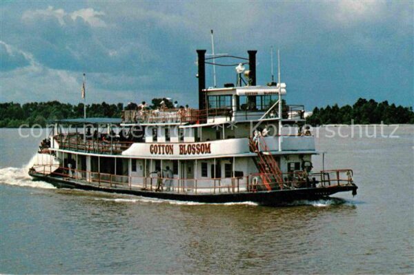 Dampfer Schaufelrad Stern-Wheeler Cotton Blossom