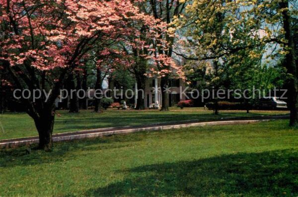 Persoenlichkeiten Elvis Presley Graceland Memphis Dogwood