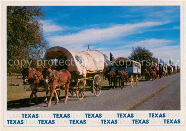 Pferdekutschen Wagon Train Texas Pioneers