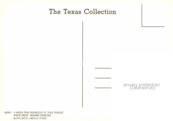 Pferdekutschen Wagon Train Texas Pioneers – Bild 2