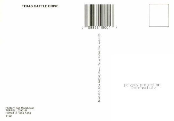 Cowboys Texas Cattle Drive – Bild 2